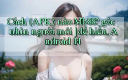 Cách (APK) nào Mb88 góc nhìn người mới dễ hiểu, Android 14