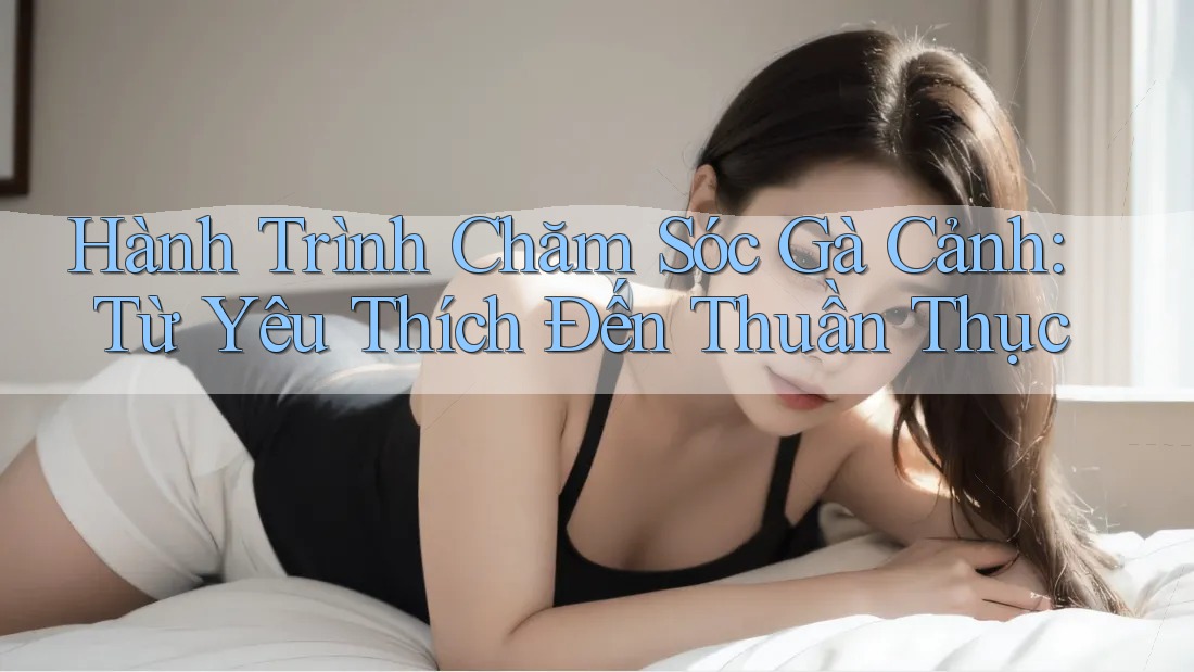 Hành Trình Chăm Sóc Gà Cảnh: Từ Yêu Thích Đến Thuần Thục