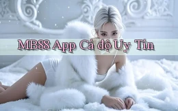 mb88 app cá độ uy tín