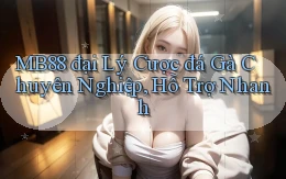 mb88  đại lý cược đá gà chuyên nghiệp, hỗ trợ nhanh