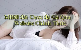 mb88  đặt cược đá gà qua website chính thức