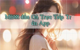 mb88  đấu gà trực tiếp trên app