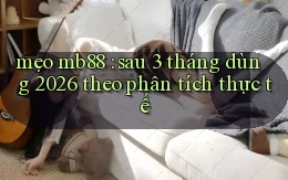 mẹo mb88 sau 3 tháng dùng 2026 theo phân tích thực tế