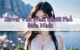 server việt nam mb88 phổ biến nhất